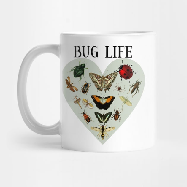 Entomology / Bug Lover /Entomologists / Bug Life by allthumbs